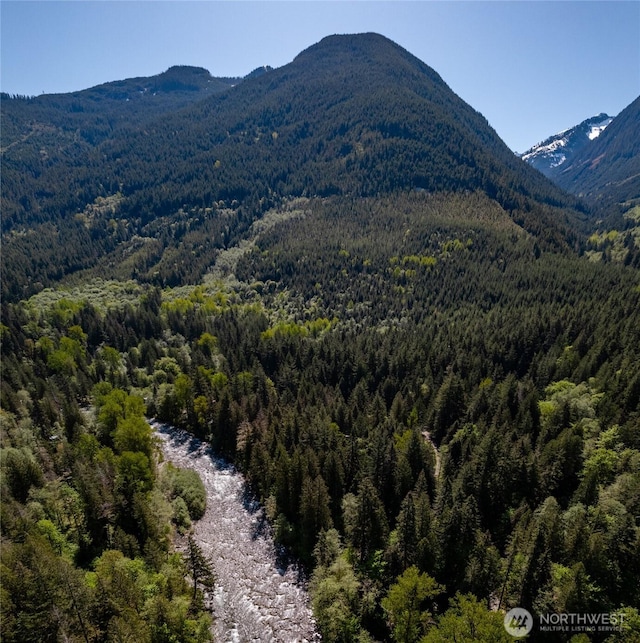 mountain view featuring a view of trees