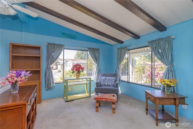 living area featuring carpet flooring, a ceiling fan, and lofted ceiling with beams