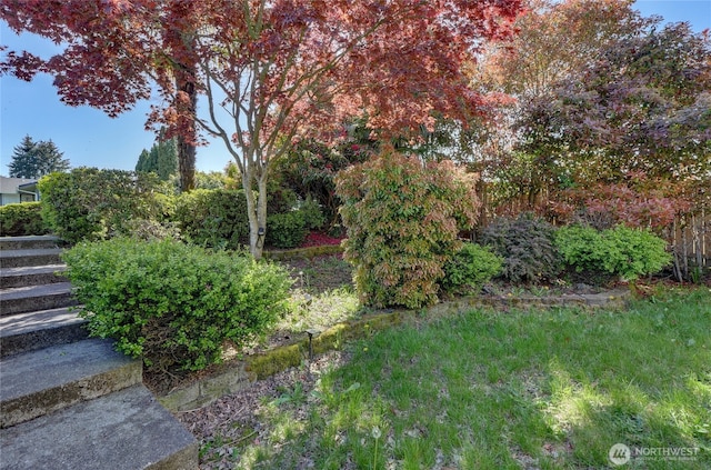 1917 E 60th St, Tacoma, WA 98404 - view of yard