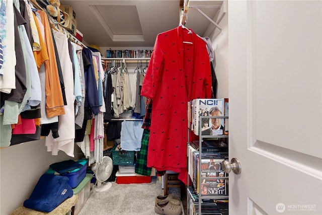 3 Gregory St, Milton-Freewater, OR 97862 - spacious closet with attic access and carpet flooring