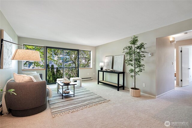 912 3rd Ave W Unit 303, Seattle, WA 98119 - carpeted living area featuring baseboards and a baseboard heating unit