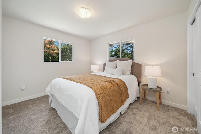 6409 NW 202nd Cir, Ridgefield, WA 98642 - bedroom featuring carpet, baseboards, and a closet