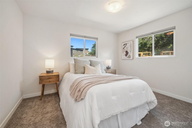 6409 NW 202nd Cir, Ridgefield, WA 98642 - bedroom with carpet flooring, multiple windows, and baseboards