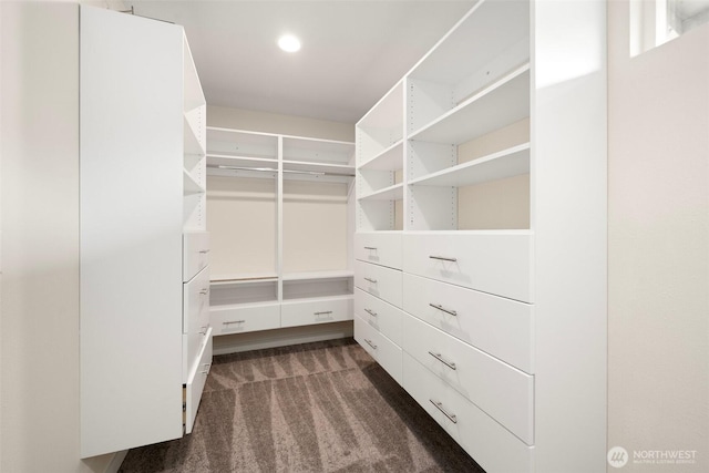 6409 NW 202nd Cir, Ridgefield, WA 98642 - spacious closet with dark carpet