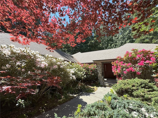view of front of house with a shingled roof