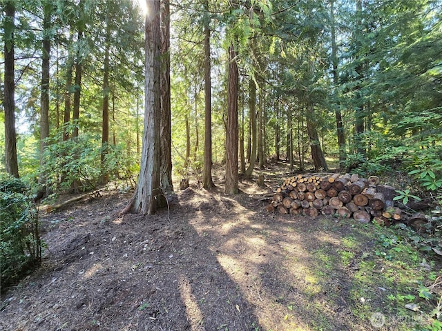 view of yard with a wooded view