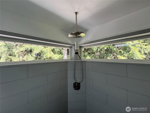 room details with a textured ceiling
