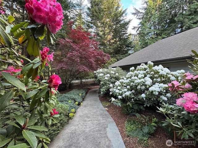 201 Buck Loop Rd, Sequim, WA 98382 - photo 8