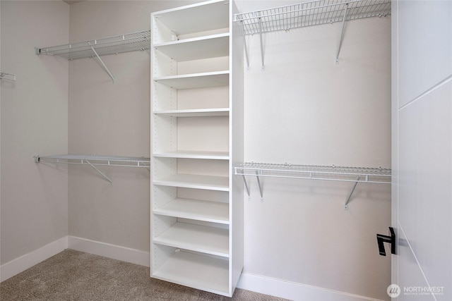 21403 39th Dr SE Unit B, Bothell, WA 98021 - spacious closet featuring carpet
