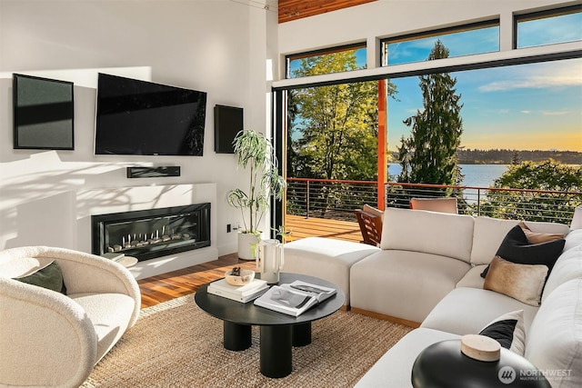 living area featuring a glass covered fireplace and wood finished floors