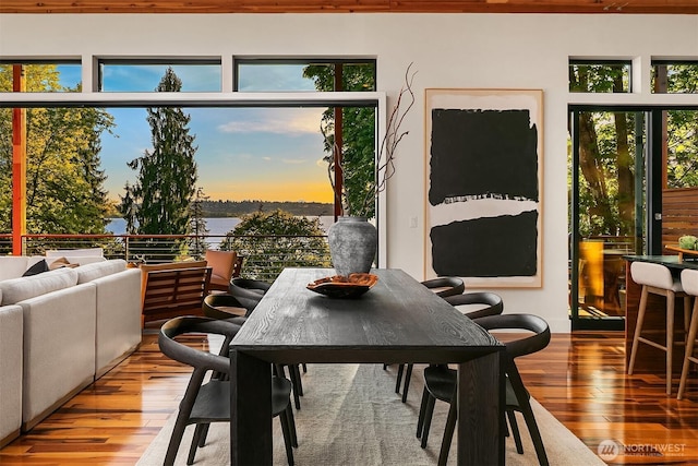 dining space featuring hardwood / wood-style flooring