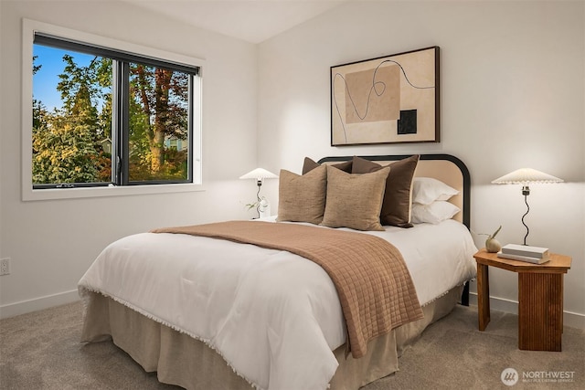 bedroom with baseboards and carpet floors