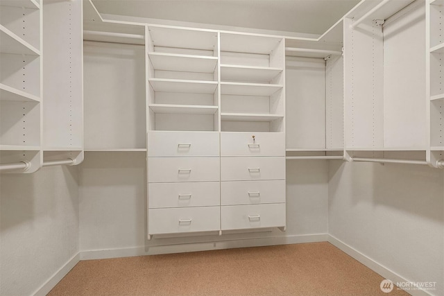 walk in closet featuring light carpet