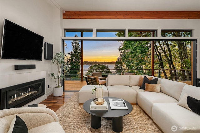 living area with a glass covered fireplace and wood finished floors