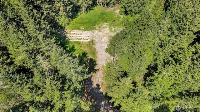 17703 117th St NW, Gig Harbor, WA 98329