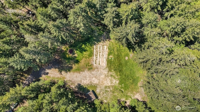 17703 117th St NW, Gig Harbor, WA 98329