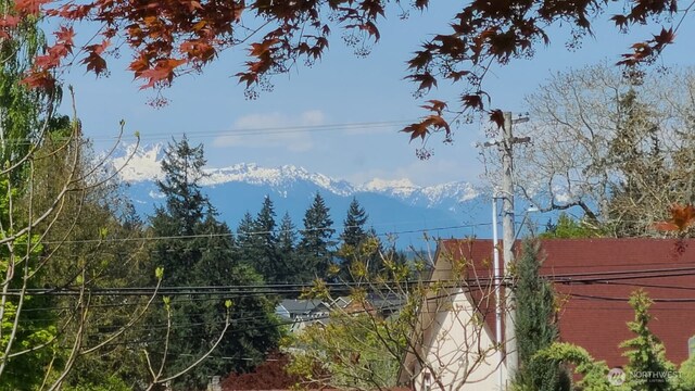 view of mountain feature