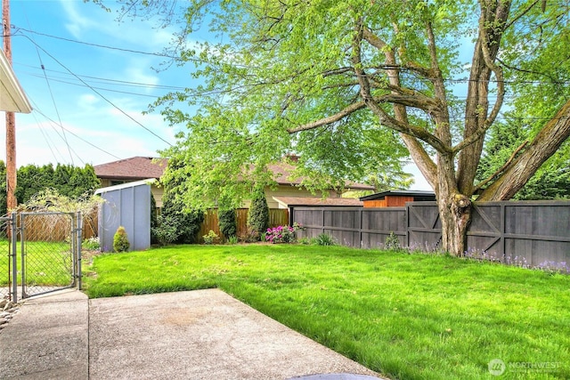 view of yard with a fenced backyard, a gate, and a patio