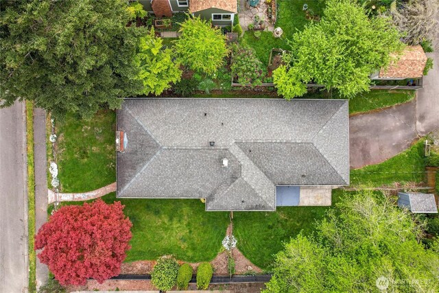bird's eye view