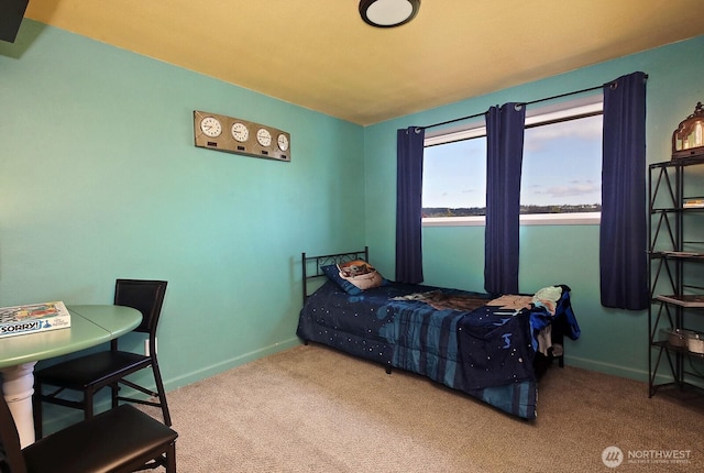 480 Hazelwood Dr, Oak Harbor, WA 98277 - photo 19
