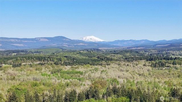 mountain view with a wooded view