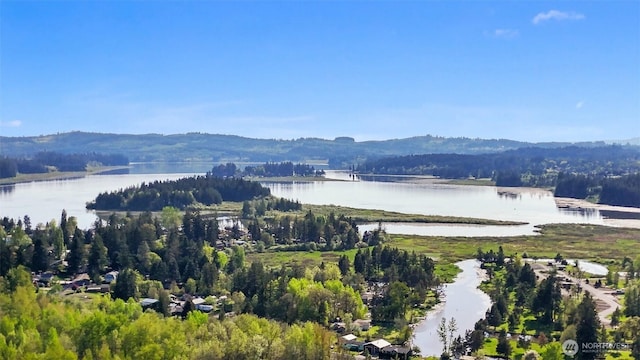 birds eye view of property with a wooded view and a water and mountain view