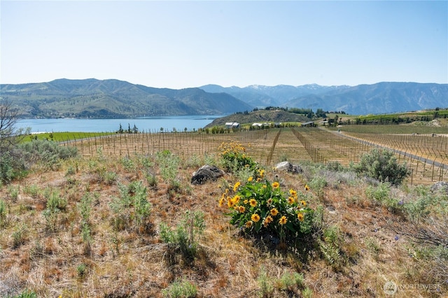 134 Westview Dr, Chelan, WA 98816