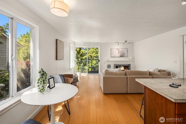 1751 NW 58th St Unit 4, Seattle, WA 98107 - living area featuring a textured ceiling, rail lighting, light wood-style flooring, and a fireplace