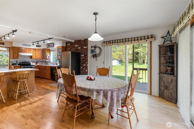 584 Gish Rd, Onalaska, WA 98570 - dining room featuring rail lighting, a wealth of natural light, and light wood-style floors