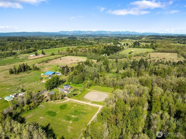 584 Gish Rd, Onalaska, WA 98570 - birds eye view of property with a rural view and a mountain view