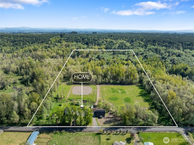 584 Gish Rd, Onalaska, WA 98570 - drone / aerial view featuring a wooded view