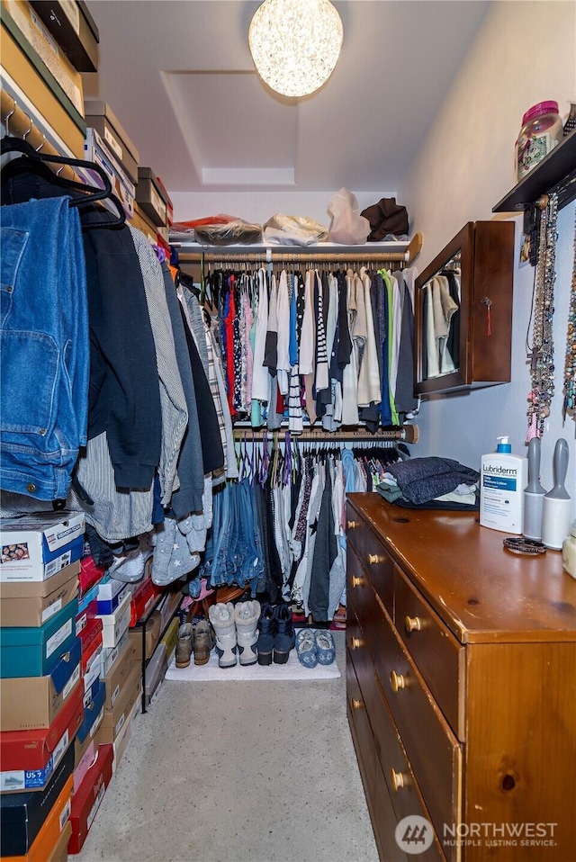 view of walk in closet