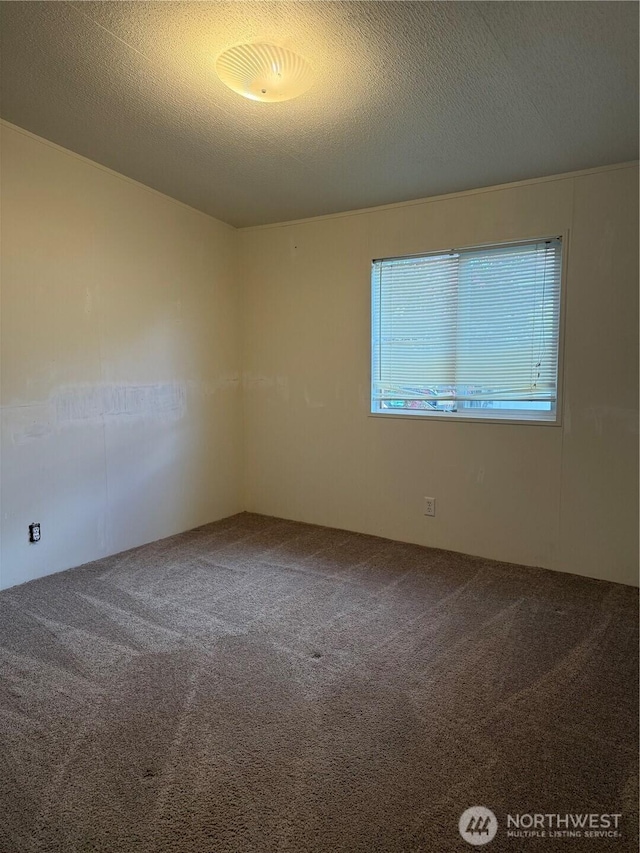 carpeted empty room with a textured ceiling