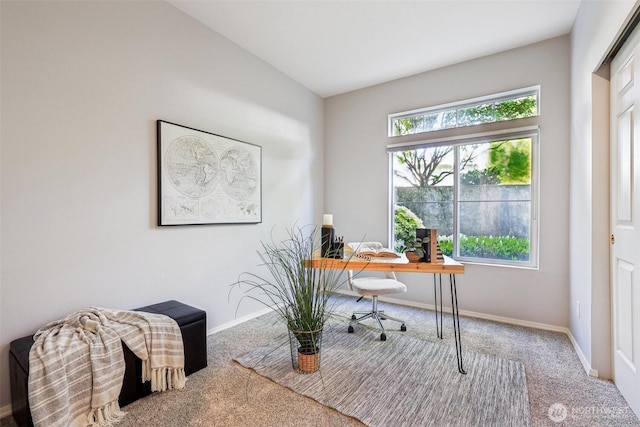 carpeted office with baseboards and plenty of natural light