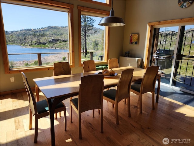 dining area featuring plenty of natural light and wood finished floors