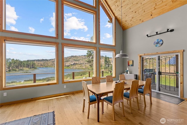 30 Shalberg Lake Rd, Riverside, WA 98849 - photo 11