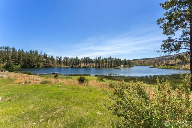 30 Shalberg Lake Rd, Riverside, WA 98849 - photo 39
