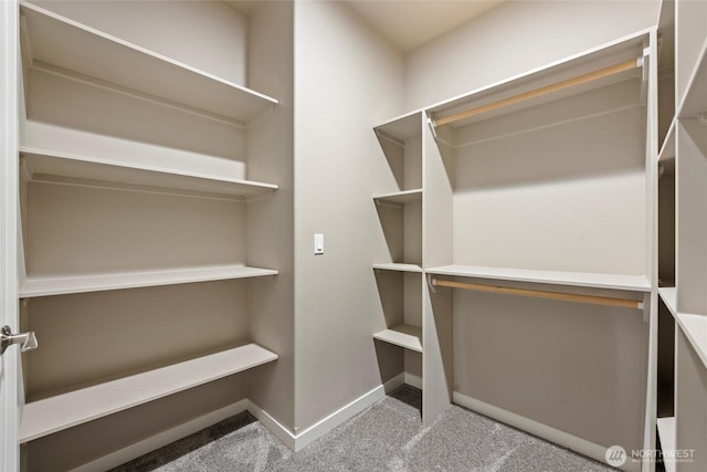 walk in closet featuring carpet flooring