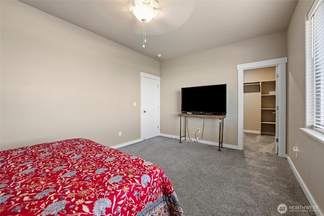 bedroom with dark carpet, baseboards, a walk in closet, and multiple windows
