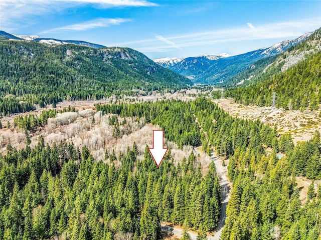 1111 Nason Ridge Rd, Leavenworth, WA 98826 - photo 2