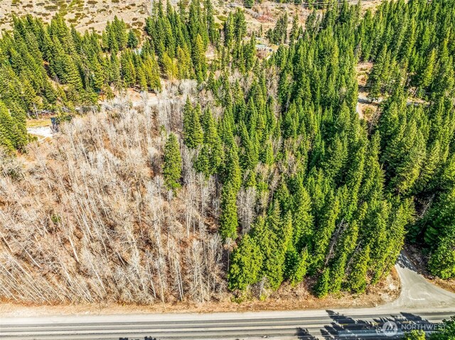 1111 Nason Ridge Rd, Leavenworth, WA 98826 - photo 3