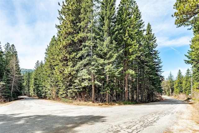 1111 Nason Ridge Rd, Leavenworth, WA 98826 - photo 4