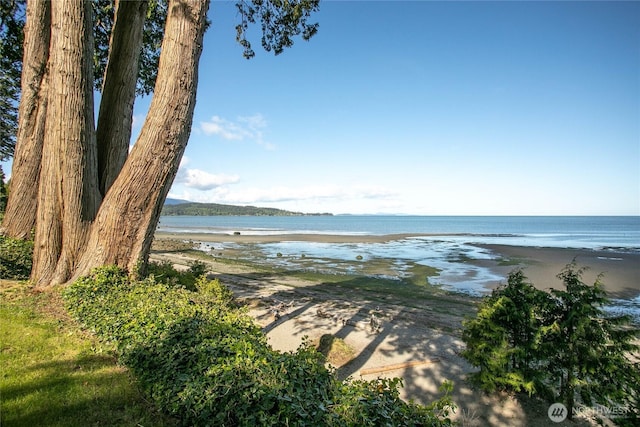 3003 Haxton Way, Bellingham, WA 98226 - water view