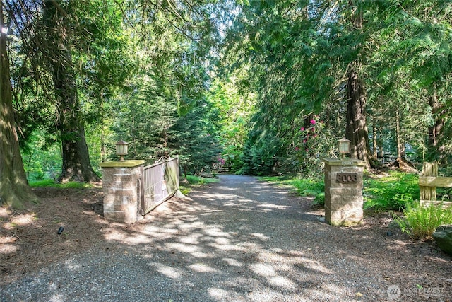 3003 Haxton Way, Bellingham, WA 98226 - view of street featuring a forest view