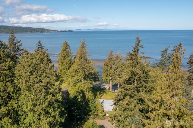 3003 Haxton Way, Bellingham, WA 98226 - water view