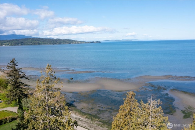 3003 Haxton Way, Bellingham, WA 98226 - water view with mountains