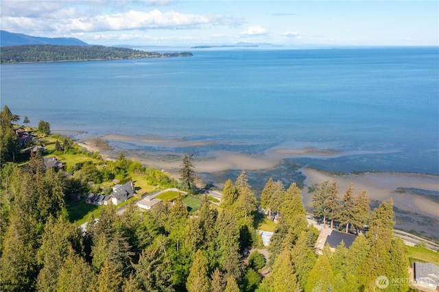 3003 Haxton Way, Bellingham, WA 98226 - aerial view of a large body of water