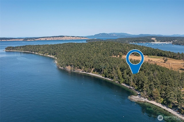 30 Smugglers Rowe, Henry Island, WA 98250 - drone / aerial view of a water and mountain view and a heavily wooded area