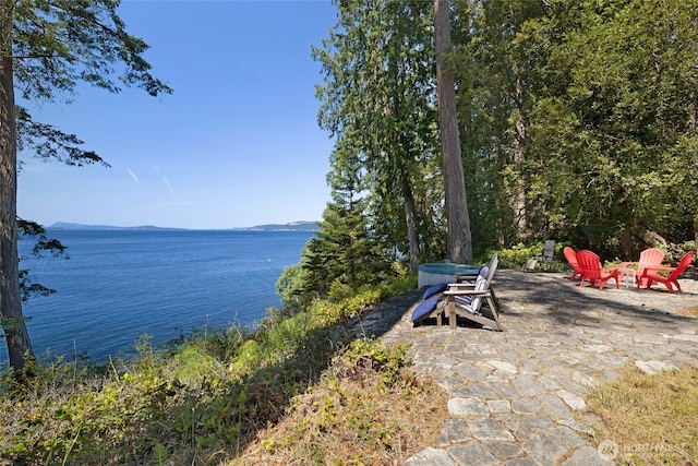 30 Smugglers Rowe, Henry Island, WA 98250 - water view featuring a fire pit