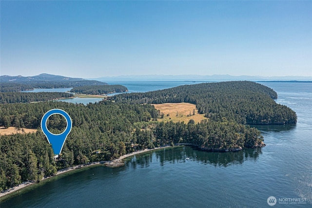 30 Smugglers Rowe, Henry Island, WA 98250 - bird's eye view of a forest and a water and mountain view